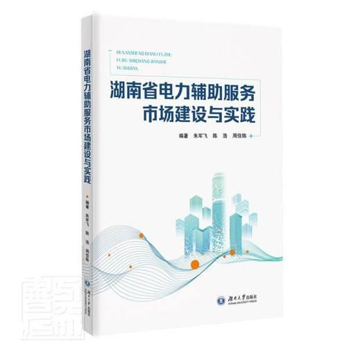湖南省电力辅助服务市场建设与实践经济电力市场研究湖南图书